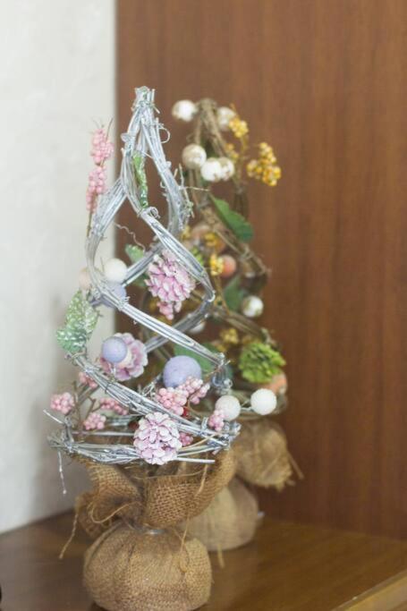 Mochida'S Guest House 도쿄 외부 사진